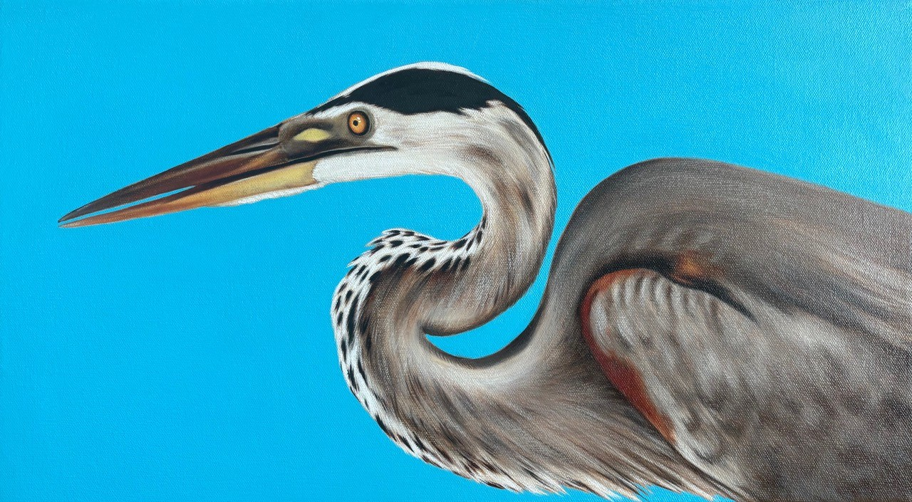 Éloïse Brodeur, Où le regard porte