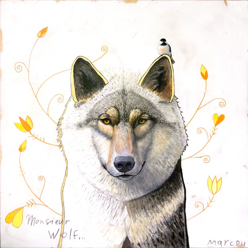 Gilles Marcou, Monsieur wolf..