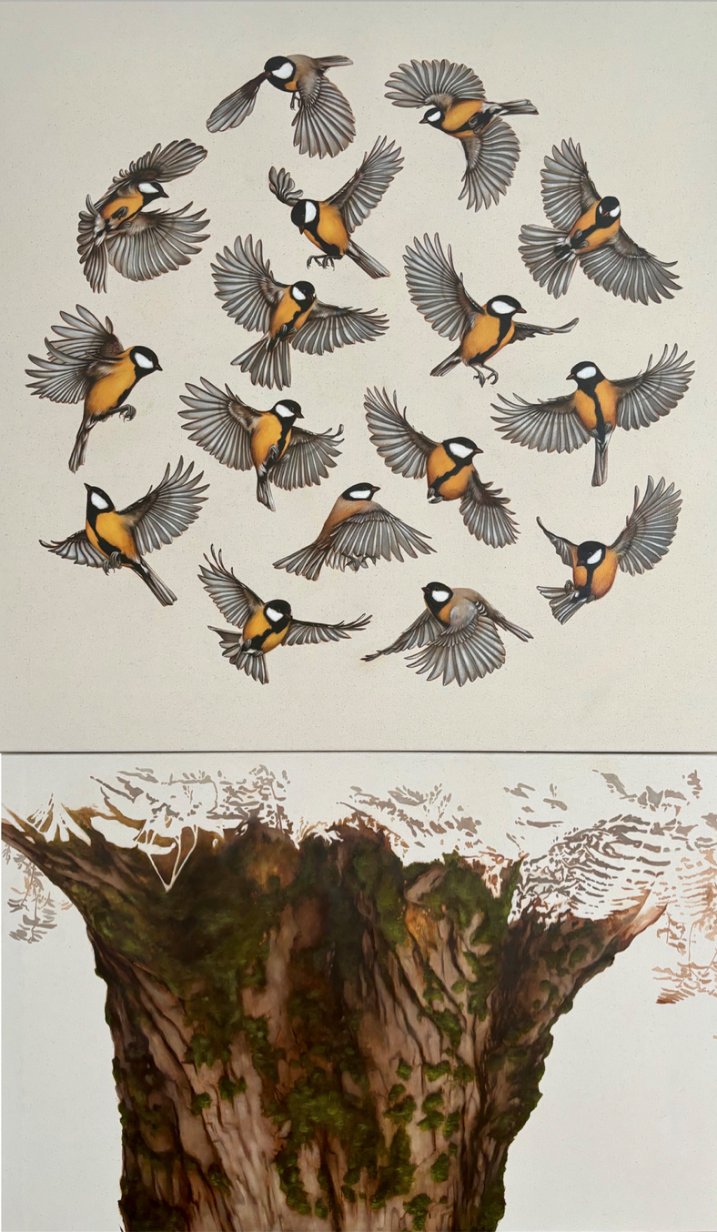 Éloïse Brodeur, Le cercle de mésanges Diptyque