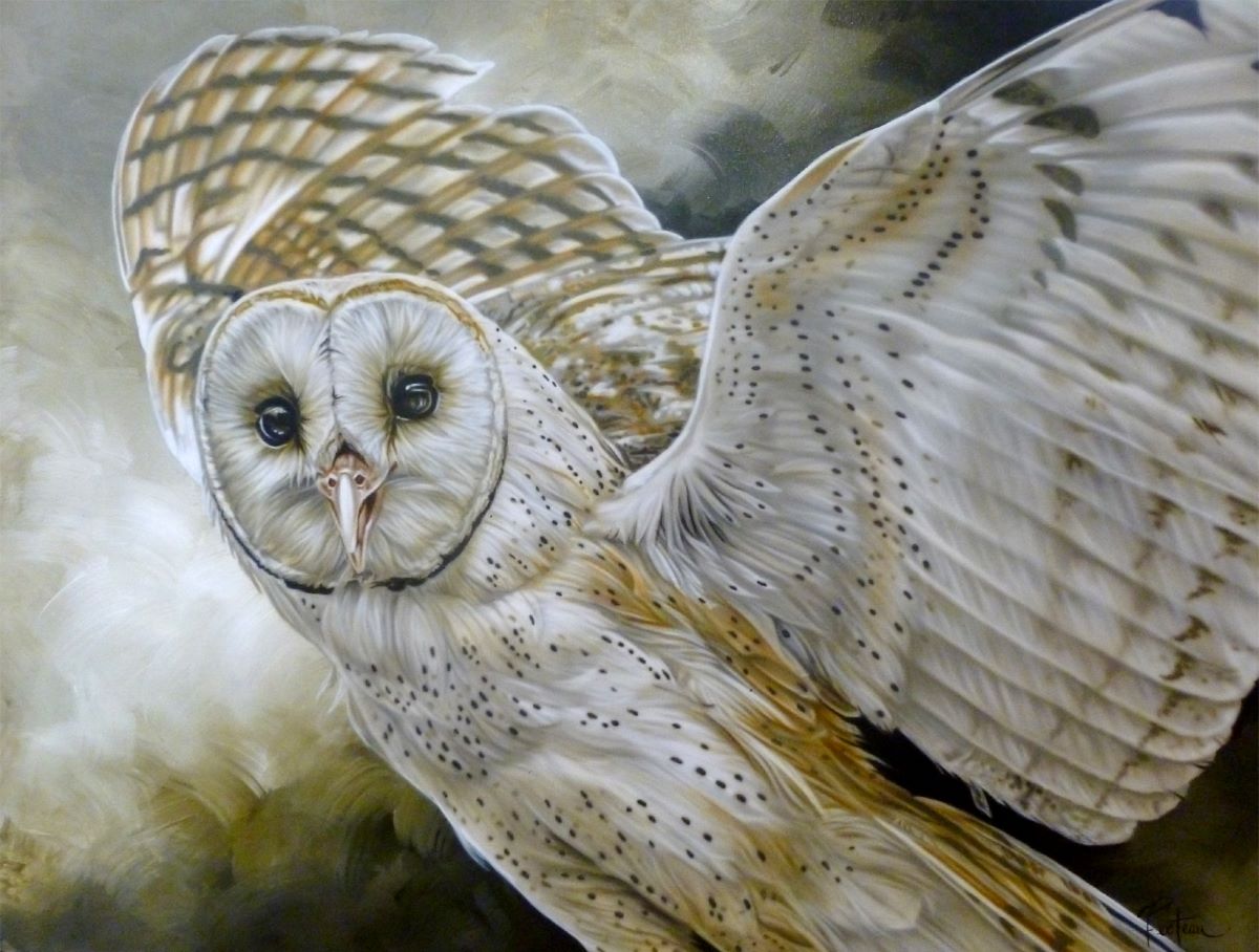 Sarah Fecteau, Happy