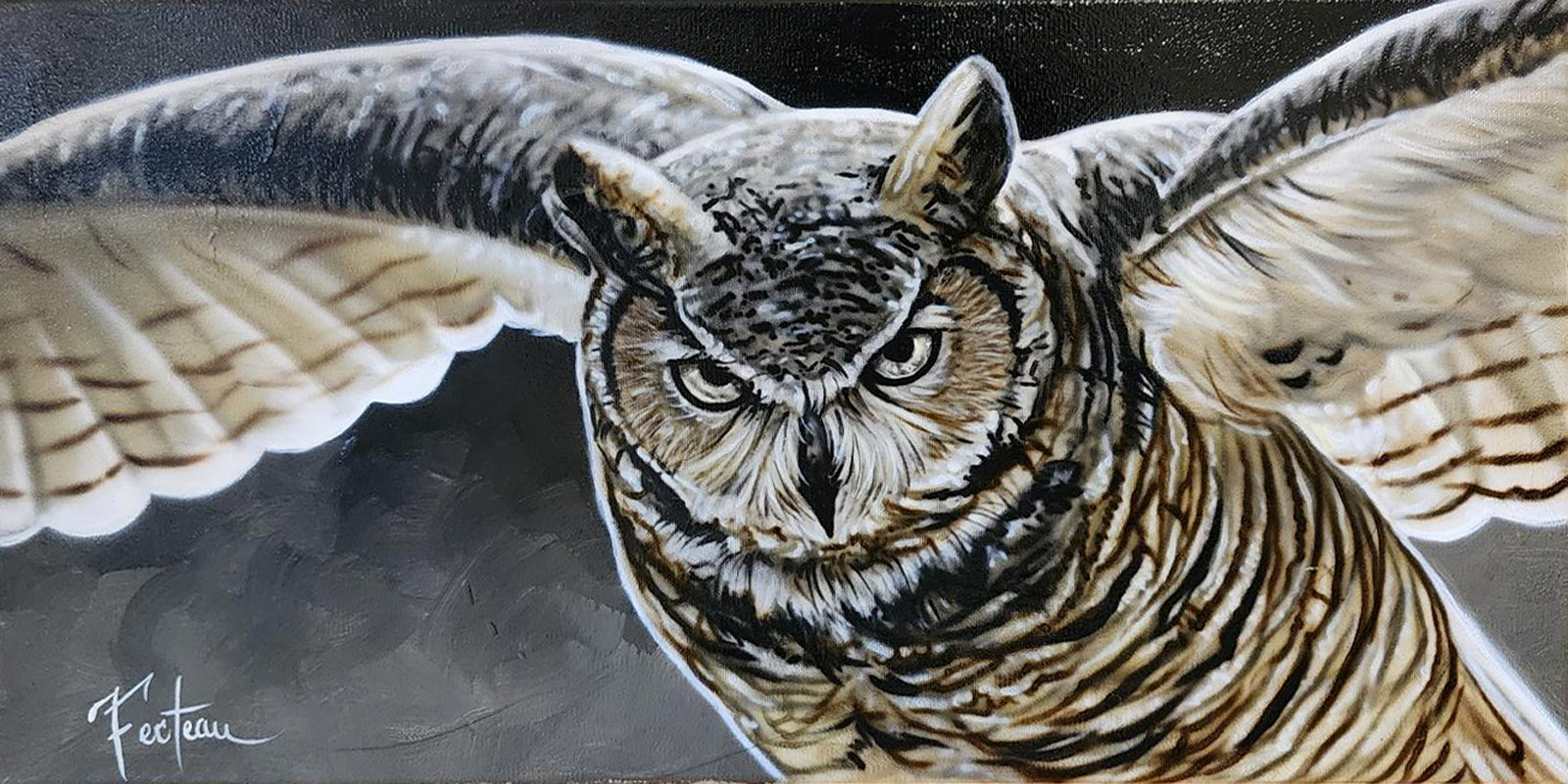 Sarah Fecteau, Sarah Fecteau Boréal connexion