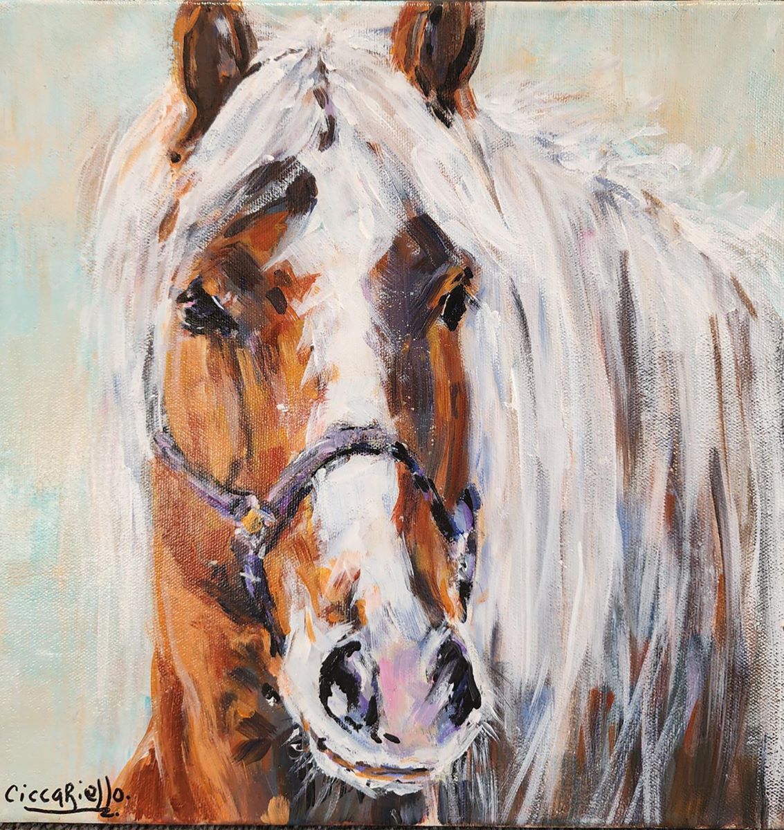 Anne-Marie Ciccariello, Anne-marie Ciccariello-Noblesse