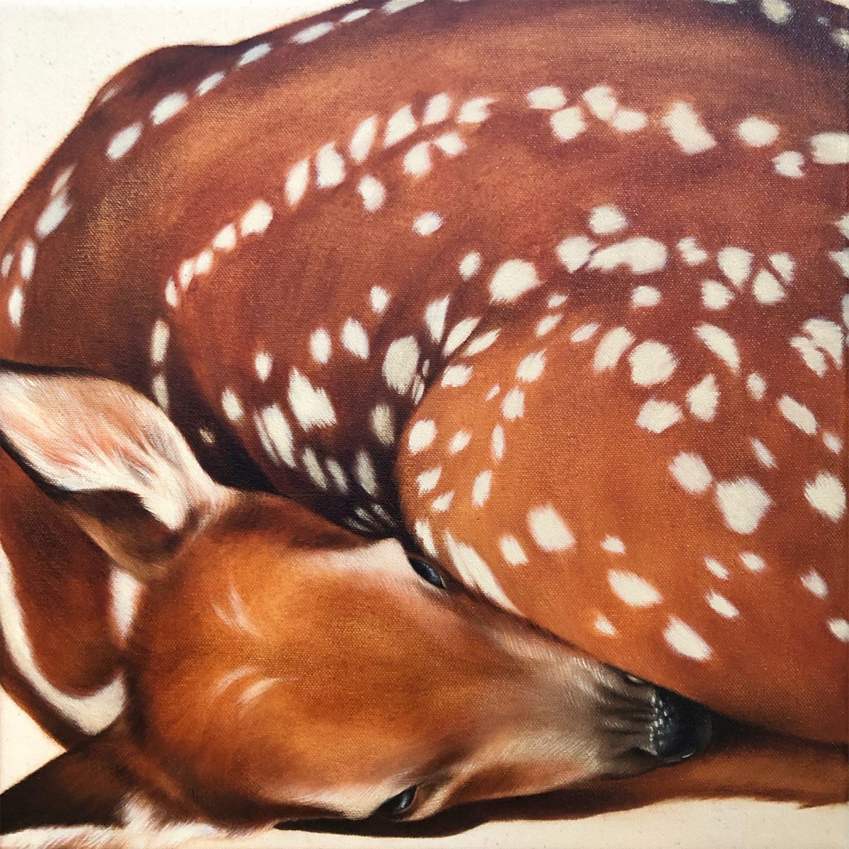 Éloïse Brodeur, Le nouveau-né