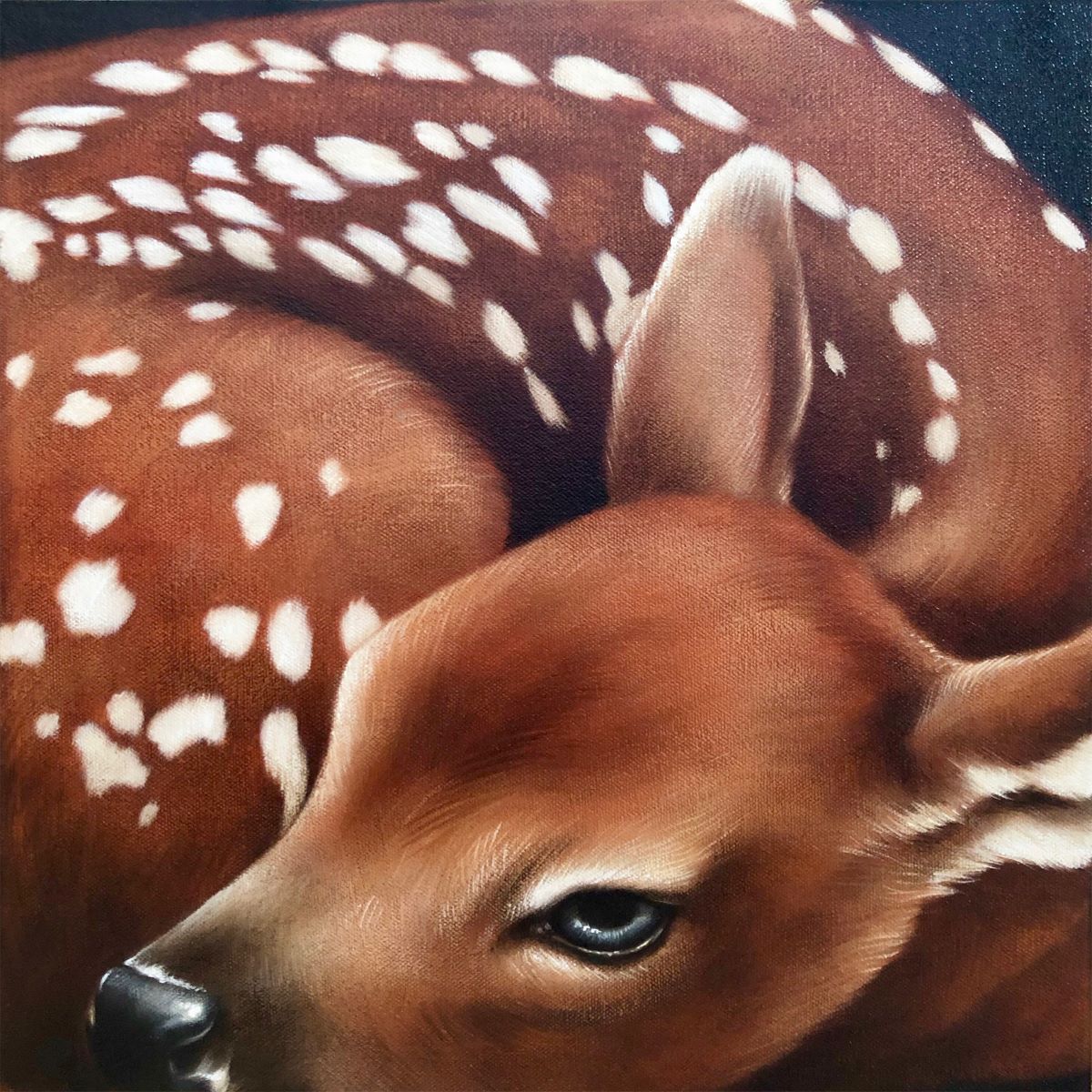 Éloïse Brodeur, Le faon aux yeux bleus