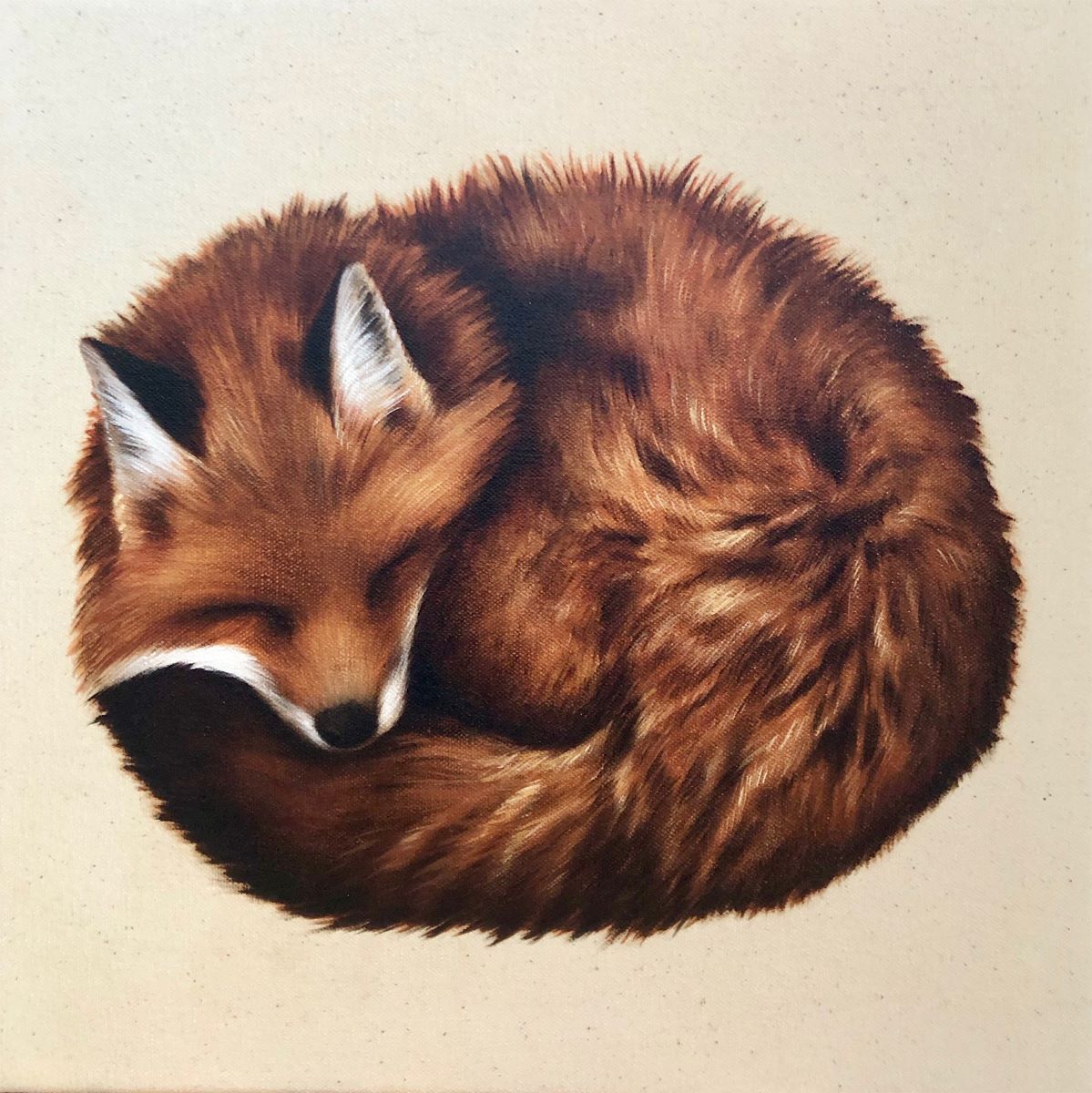 Éloïse Brodeur, Petite boule de renard