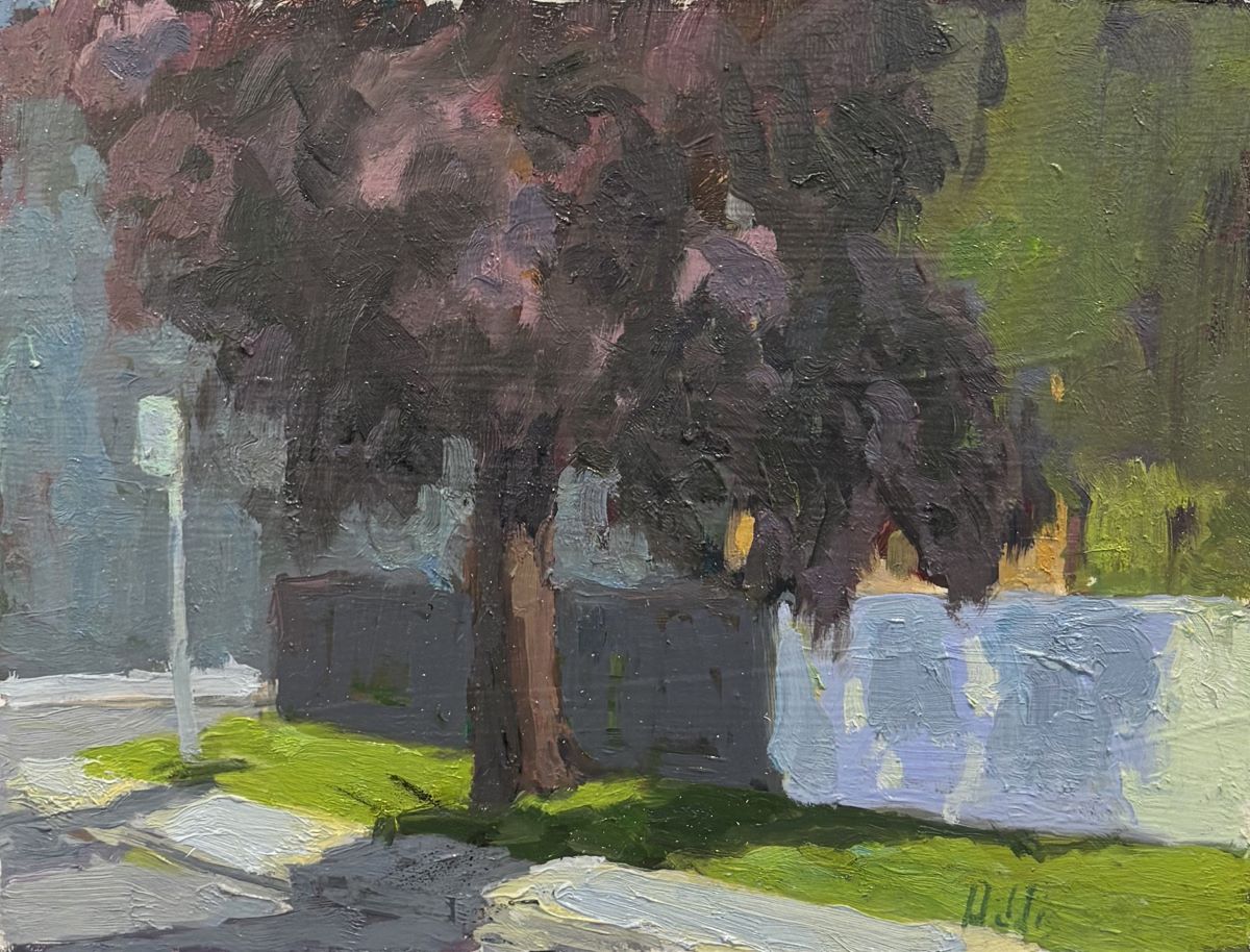 Scott Addis, Montreal Maple