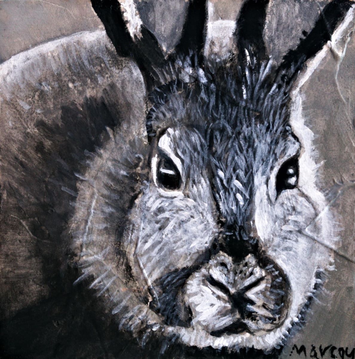 Gilles Marcou, Petit lièvre