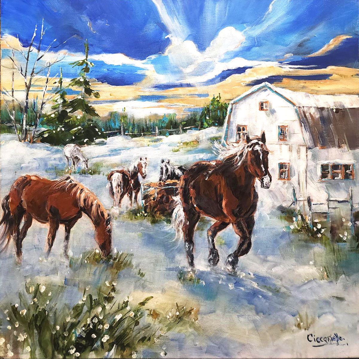 Anne-Marie Ciccariello, Les plaisirs d’être dehors