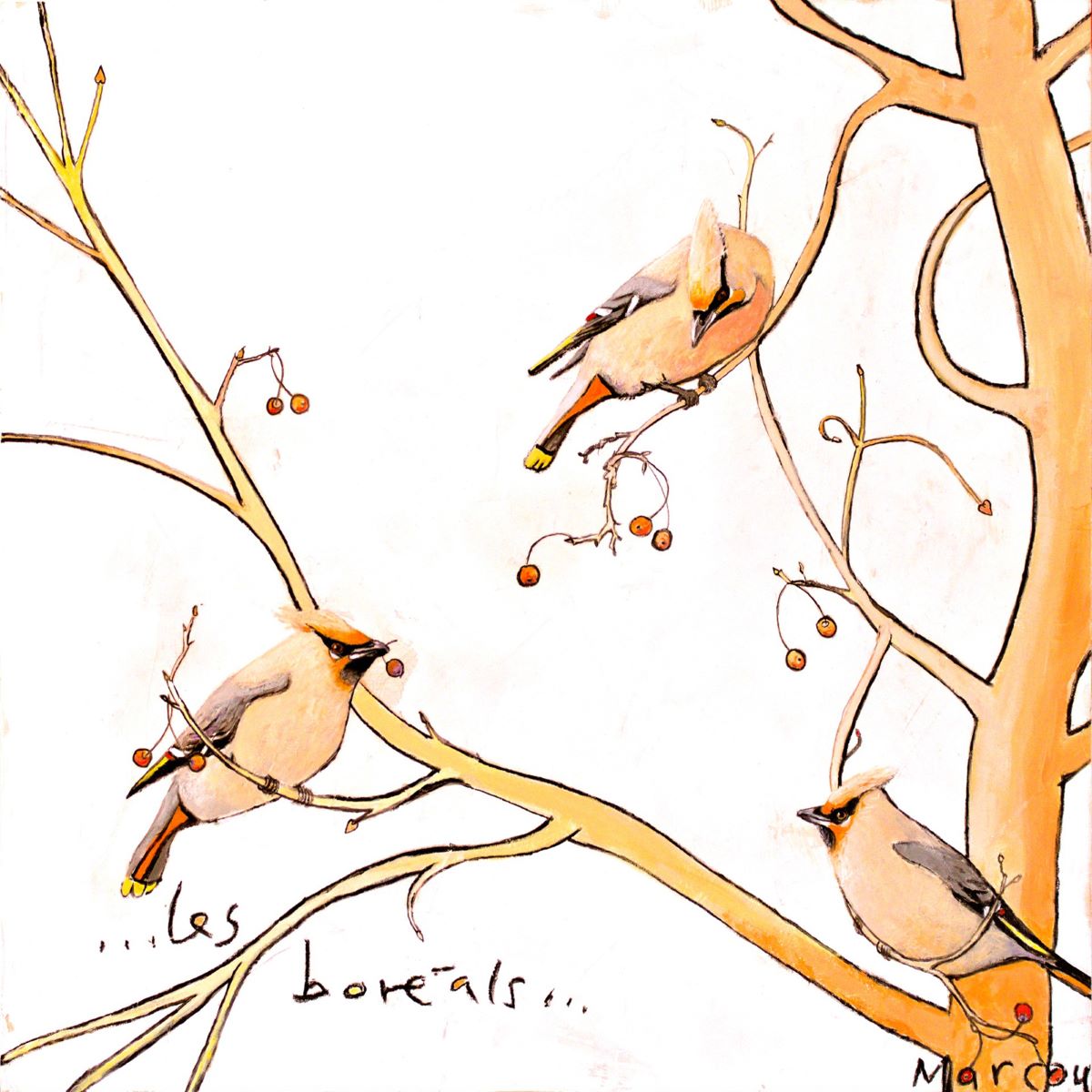 Gilles Marcou, Les boréals
