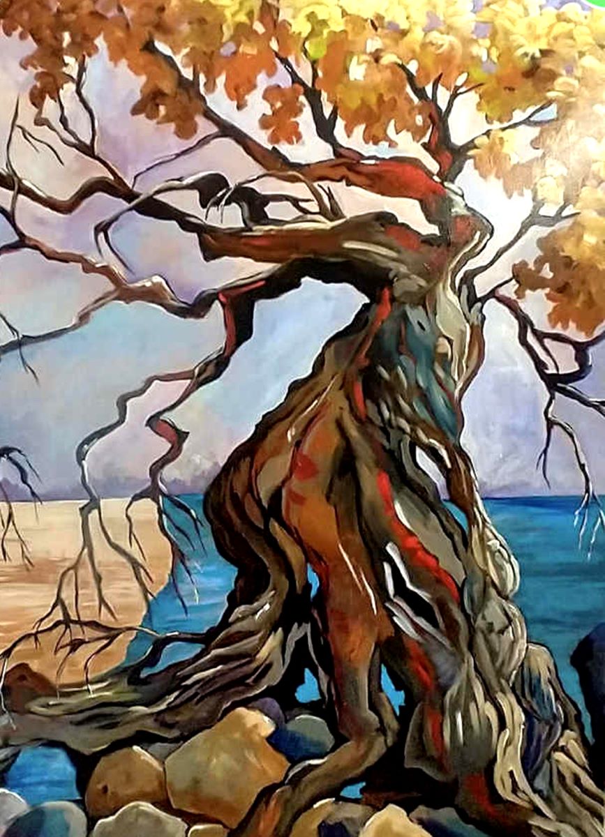 Josée Miller, Transformation