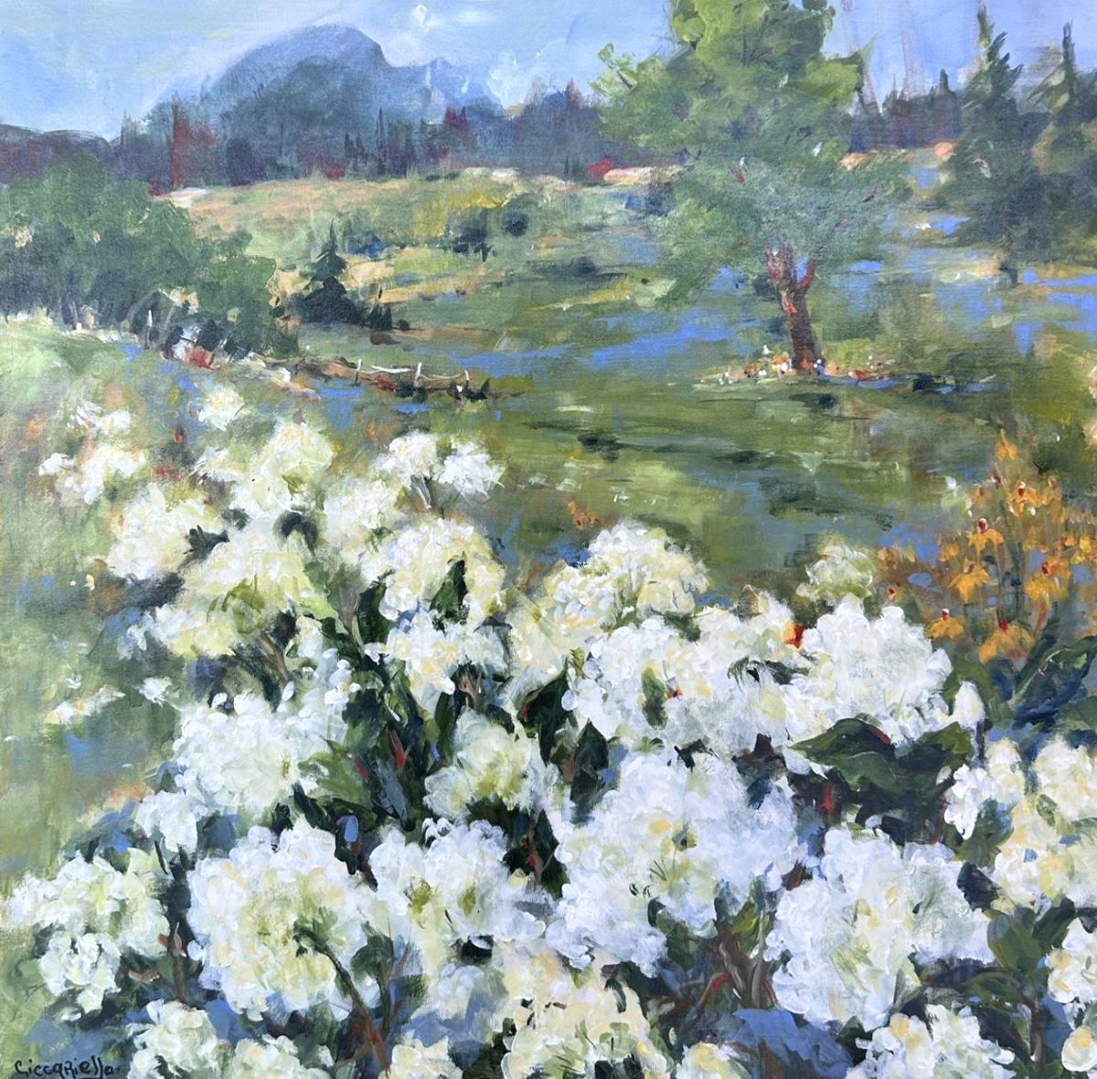 Anne-Marie Ciccariello, Les hydrangés