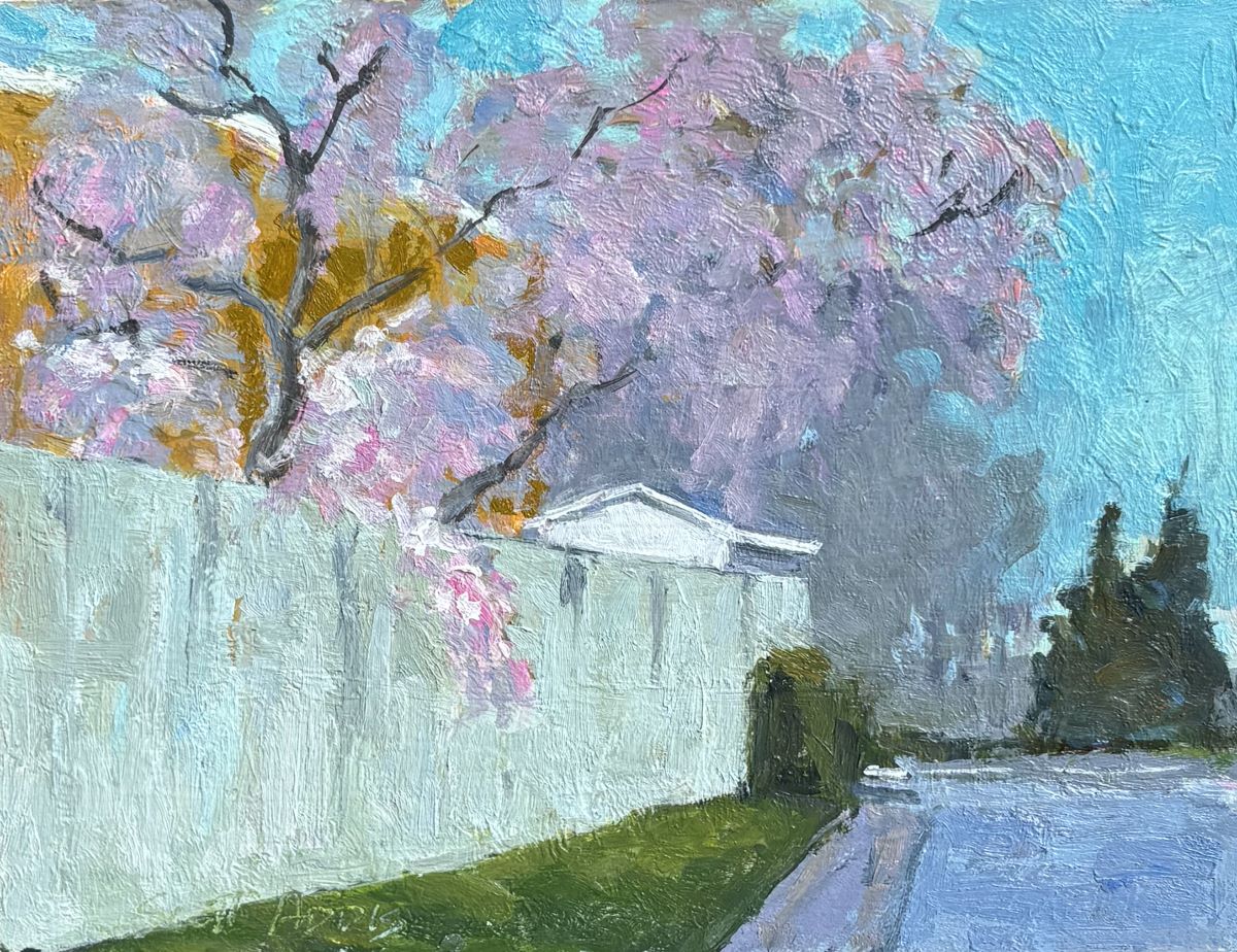 Scott Addis, Garden shed, spring 2025