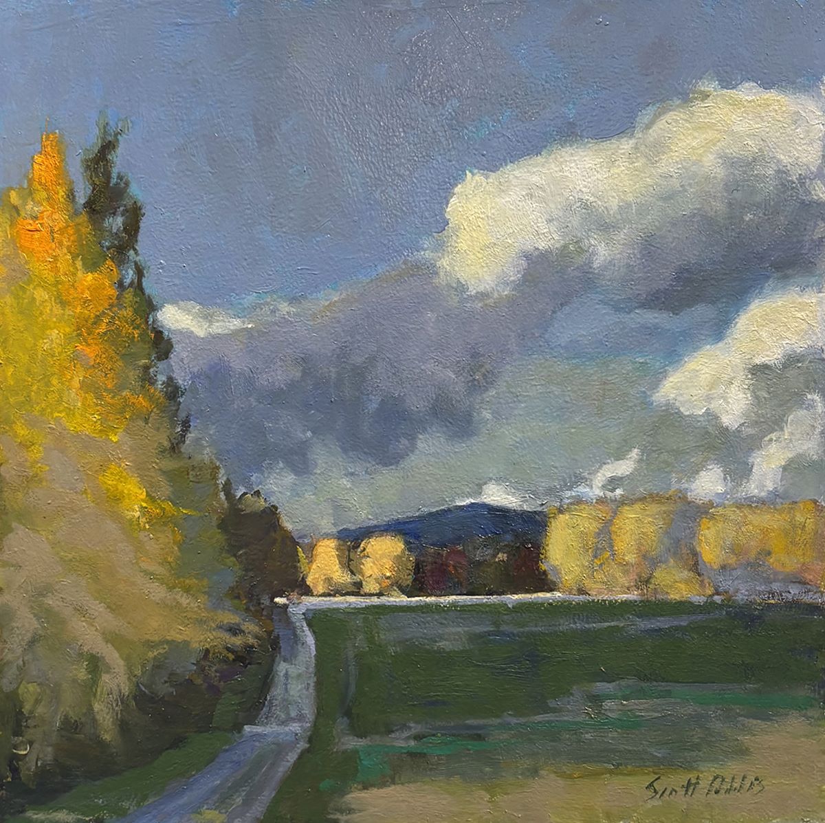 Scott Addis, Side bar