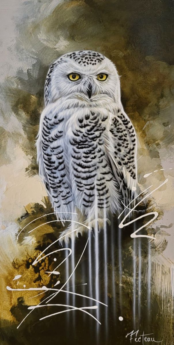 Sarah Fecteau, Le regard du grand nord