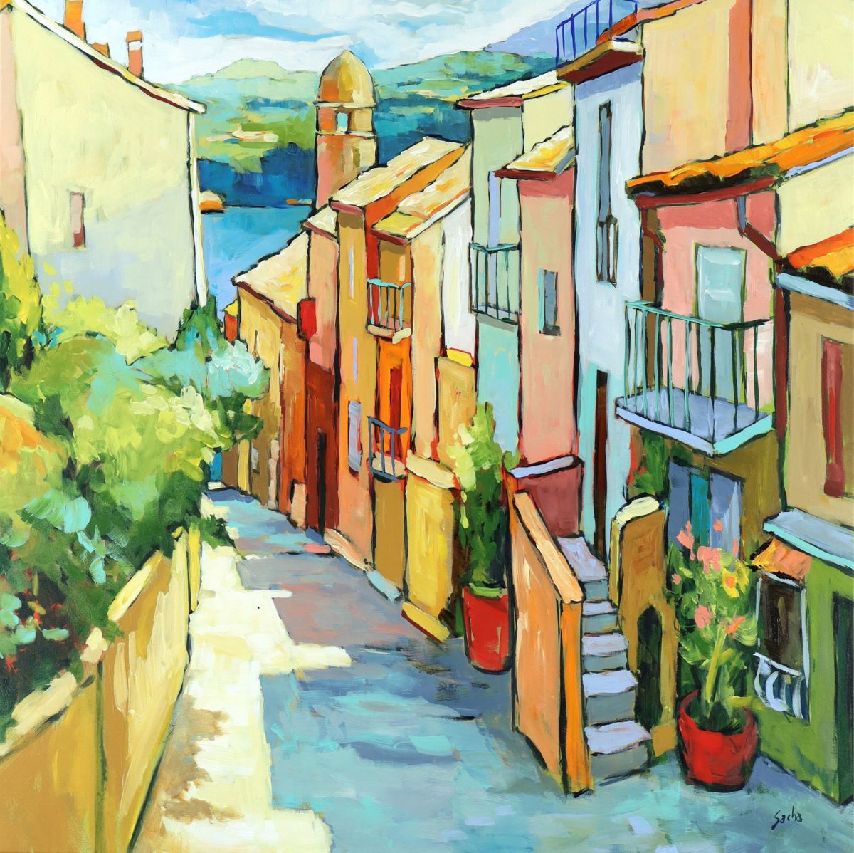 Sacha, Collioure en été