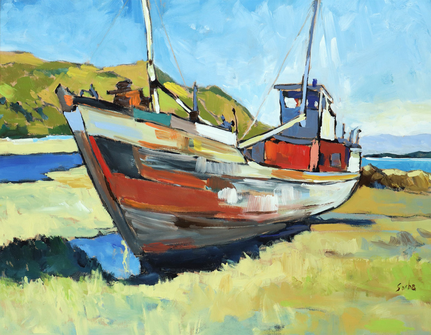 Sacha, Goélette entre terre et mer ( Baie St-Paul )