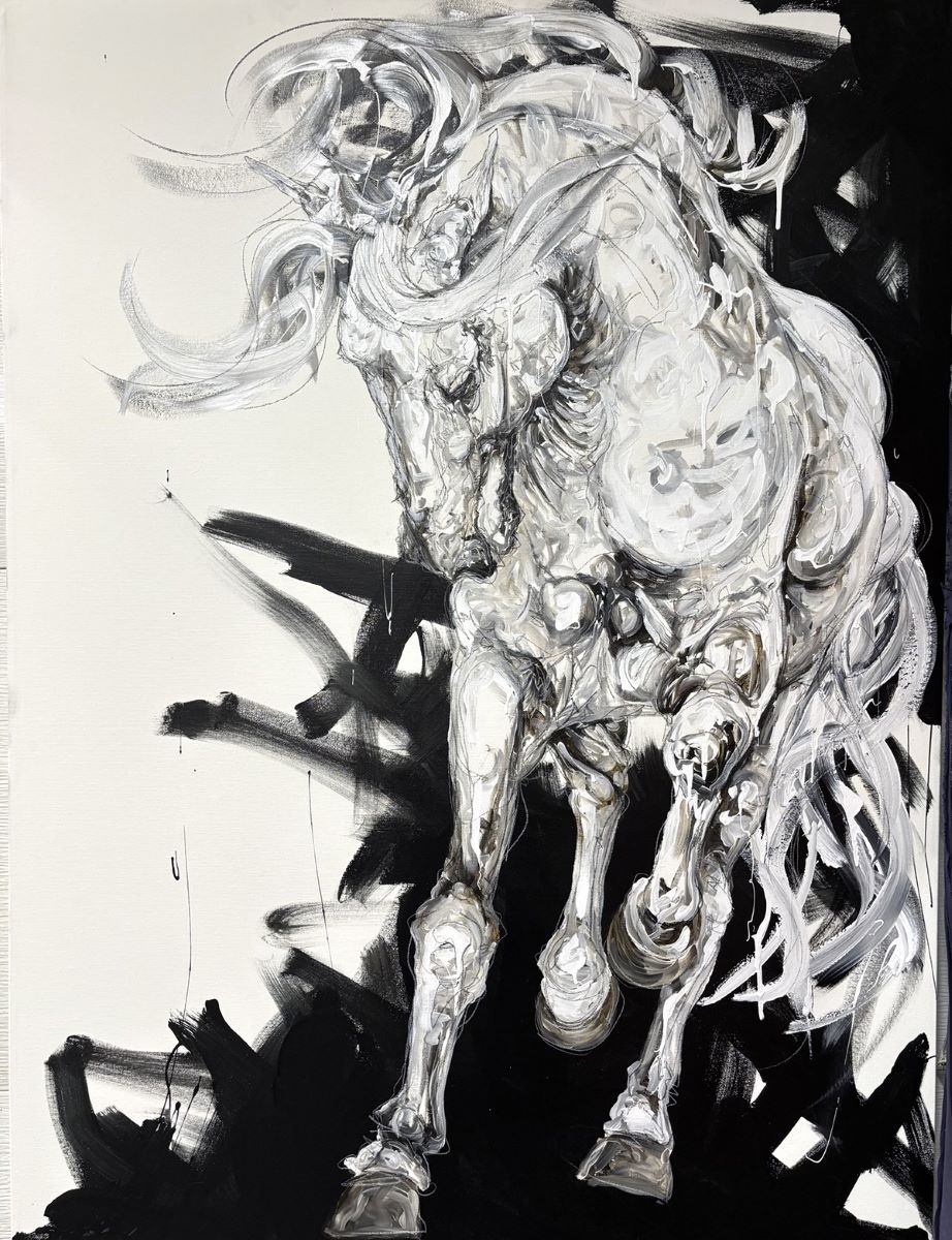 Sébastien Larochelle, Shinjuky