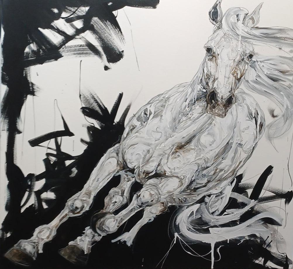 Sébastien Larochelle, Kamakuba