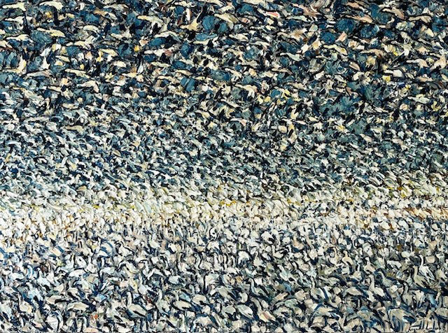 Raynald Leclerc, La grande saison des oies