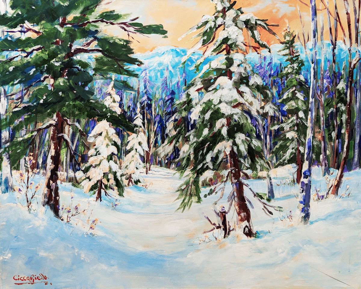 Anne-Marie Ciccariello