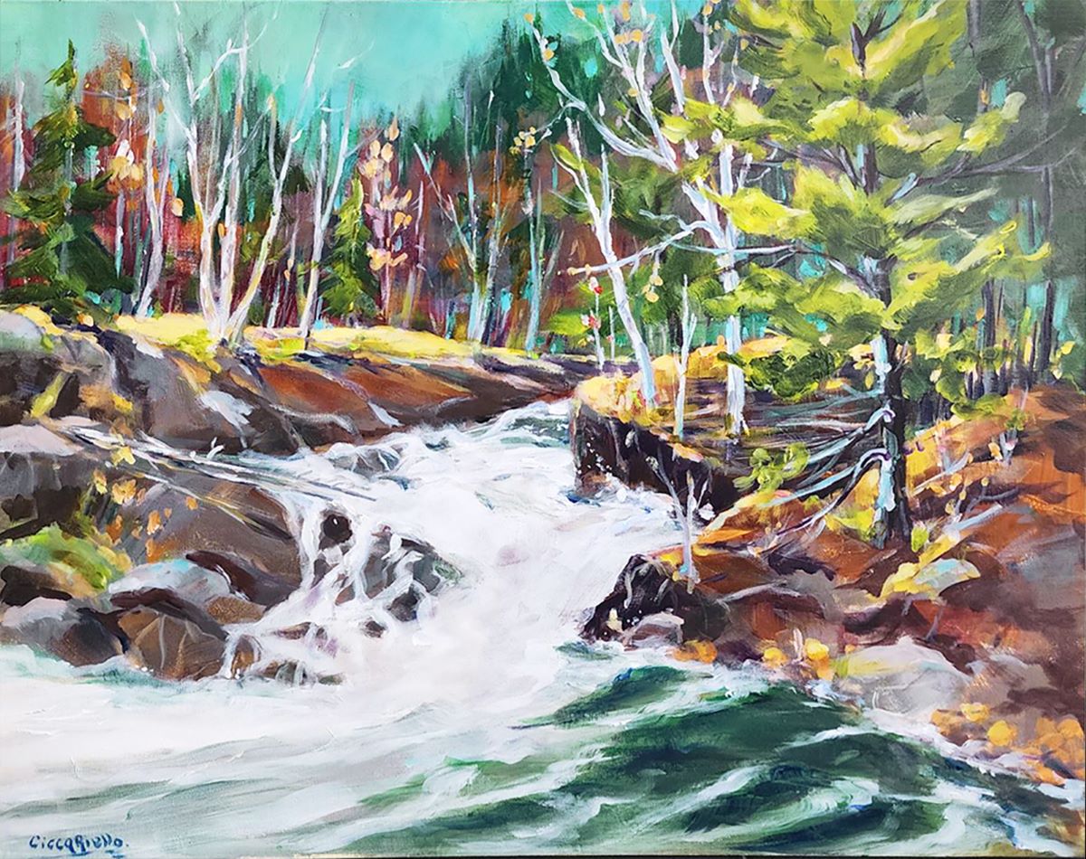 Anne-Marie Ciccariello