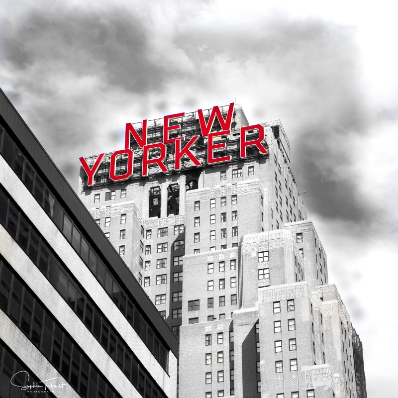 Sophie Thibault, New Yorker (print on plexiglass)