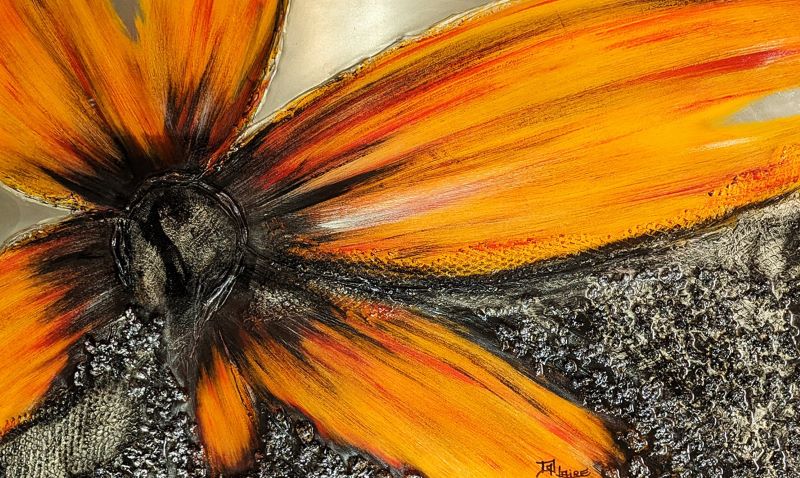 Lynda Dallaire, Sun