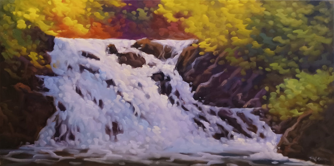Michel LeRoux, Animated Nature