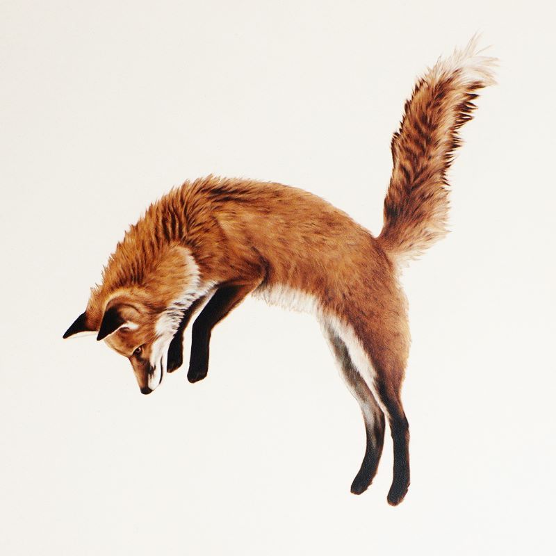 Éloïse Brodeur, The Poetry of the Fox&