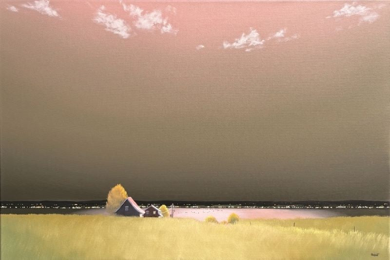 Guy Paquet, In the distance some cries, bustards...