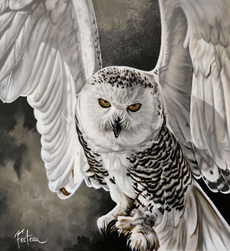 Sarah Fecteau, Follow your instinct!