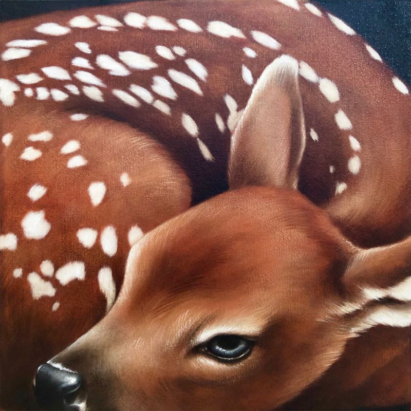 Éloïse Brodeur, Éloïse Brodeur - The Blue-Eyed Fawn