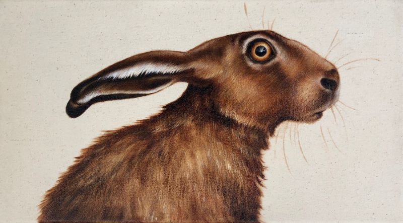 Éloïse Brodeur, Éloïse Brodeur - Little Hare on the Lookout