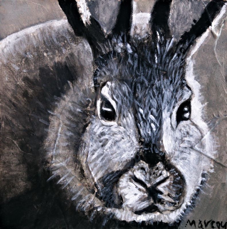 Gilles Marcou, Little Hare