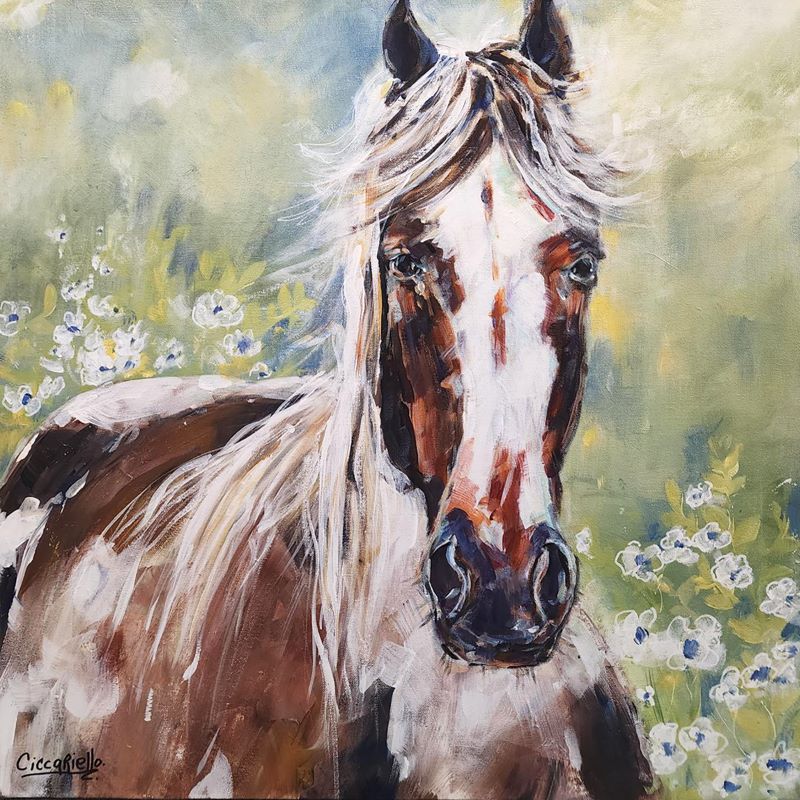 Anne-Marie Ciccariello, Faithful