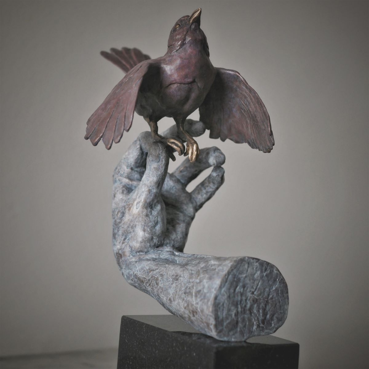 Sarah McLeod, Invasive Species