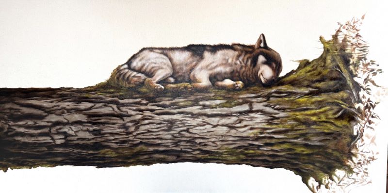 Eloïse Brodeur, The Lying Wolf