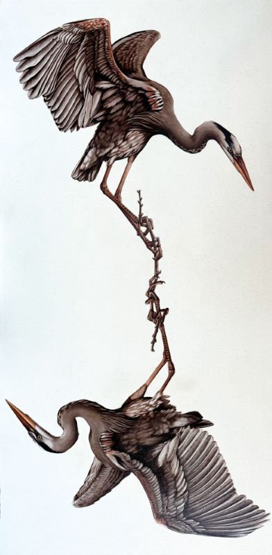 Eloïse Brodeur, The Two Storks