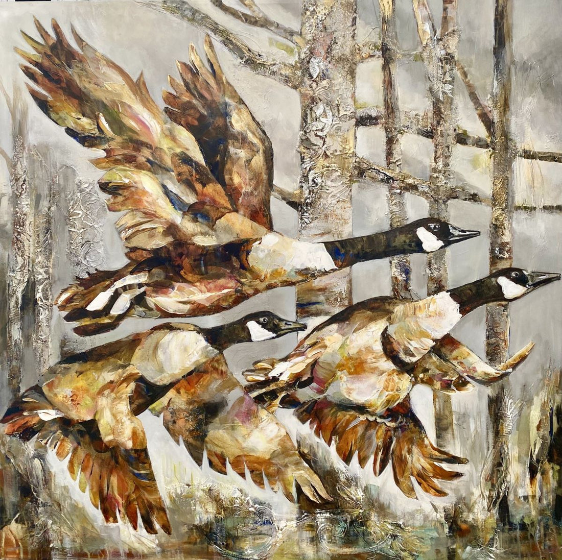 Céline Brossard, Feathers in Splendor