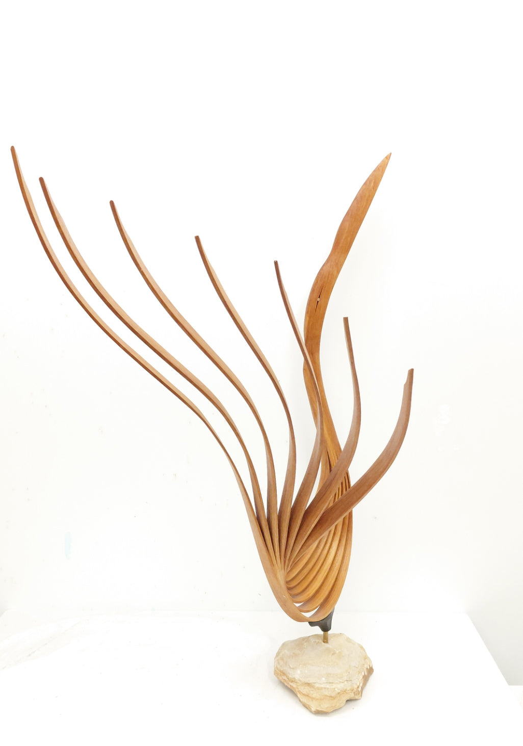 Eric Tardif, Parade, cerisier