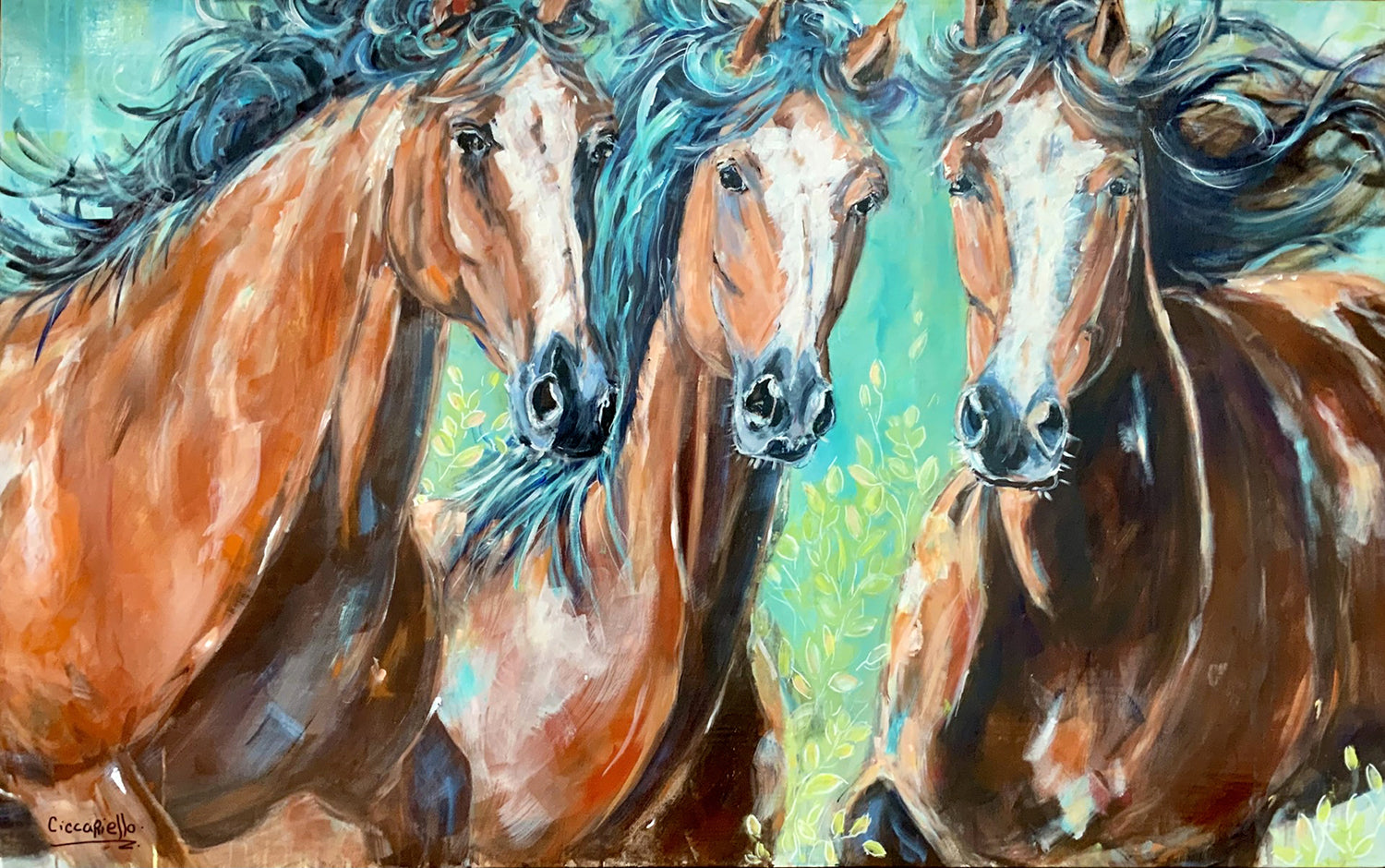 Anne-Marie Ciccariello, Fraternité