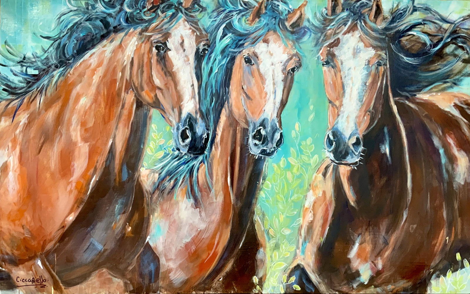 Anne-Marie Ciccariello, Fraternité