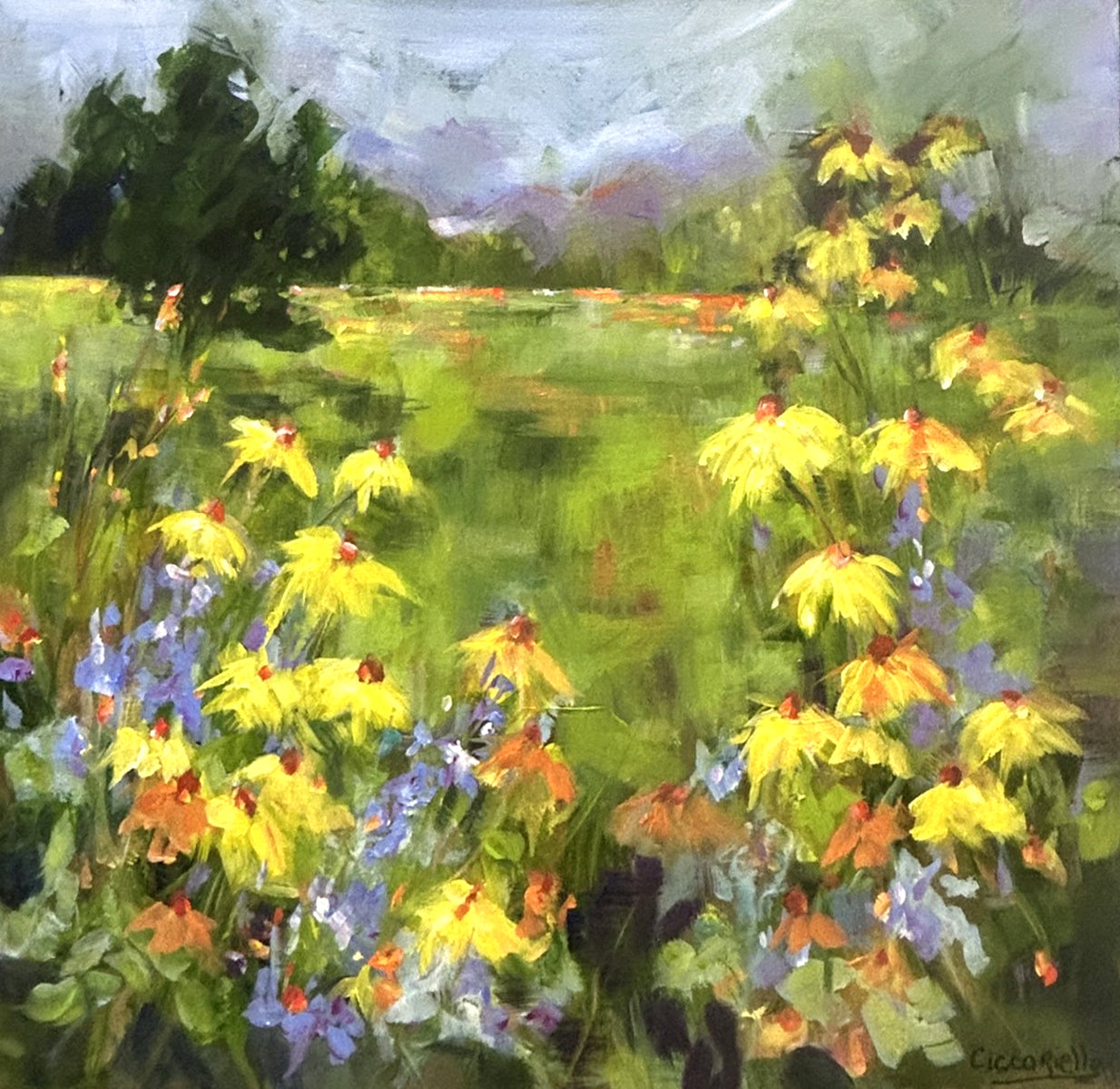 Anne-Marie Ciccariello, Évasion