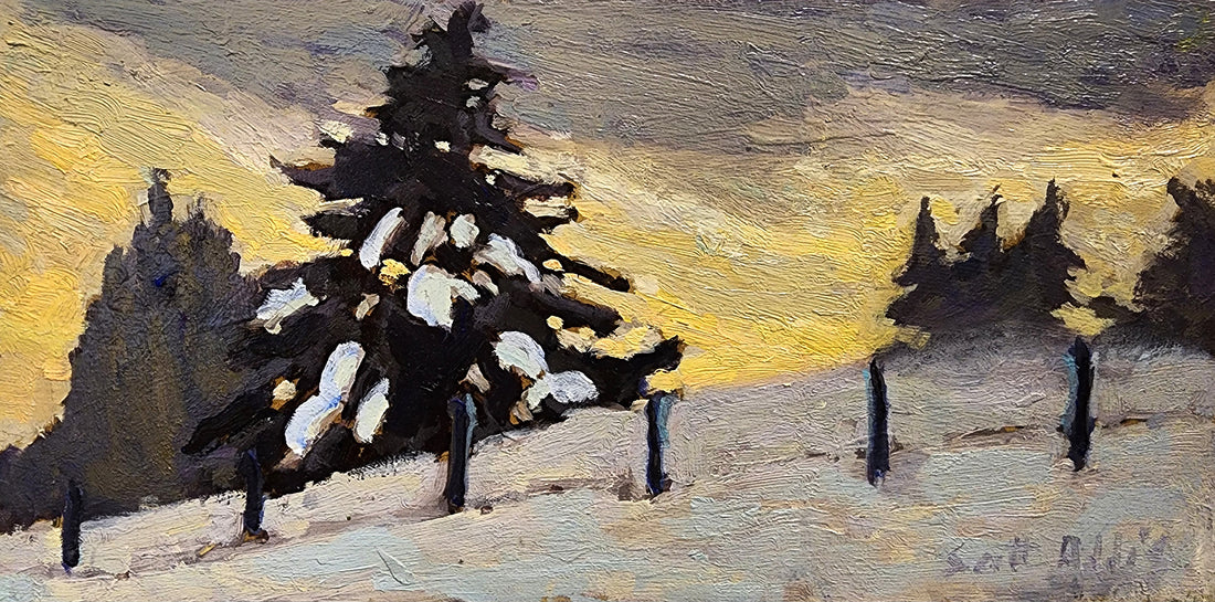 Scott Addis, Coaticook pine