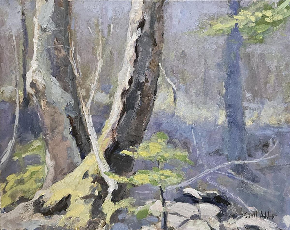 Scott Addis, Eternal spring