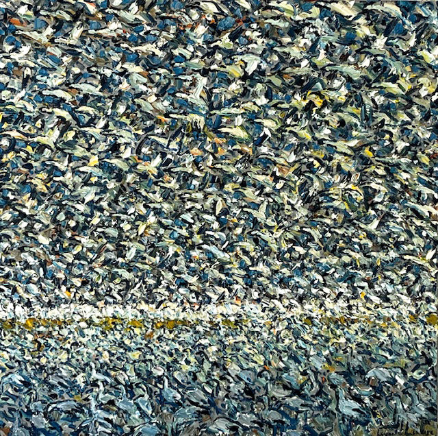 Raynald Leclerc, Au cœur de la migration, les oies