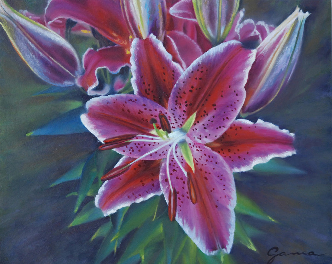 Guy-Anne Massicotte, Guy-Anne massicotte Lys Hypnotique