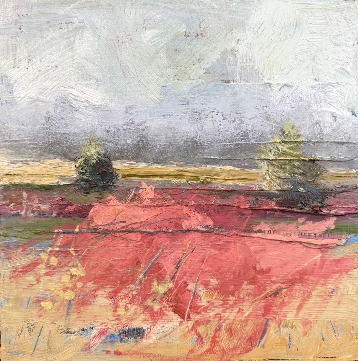 Sylvie Drainville, Cap Tourmente 01