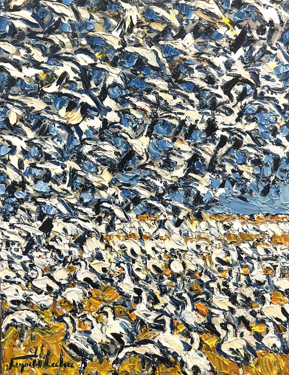 Raynald Leclerc, Champ d’or aux oies blanches