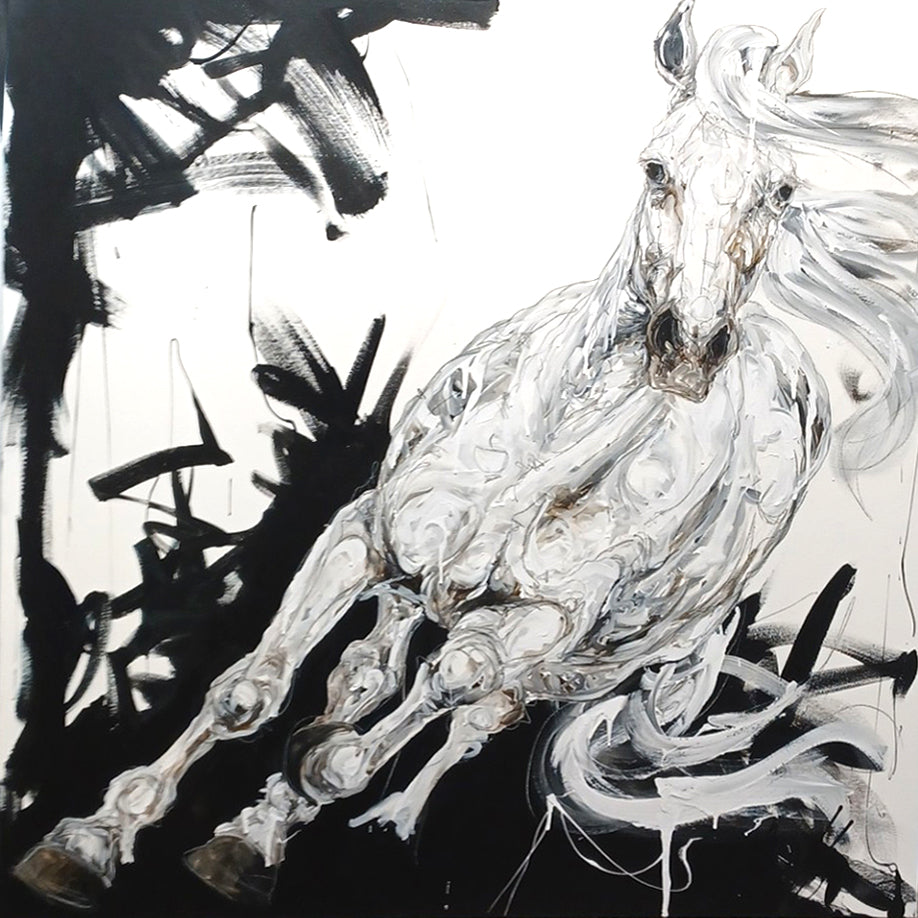 Sébastien Larochelle, Kamakuba